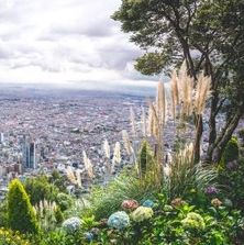 © Evelyn – fotolia.com
